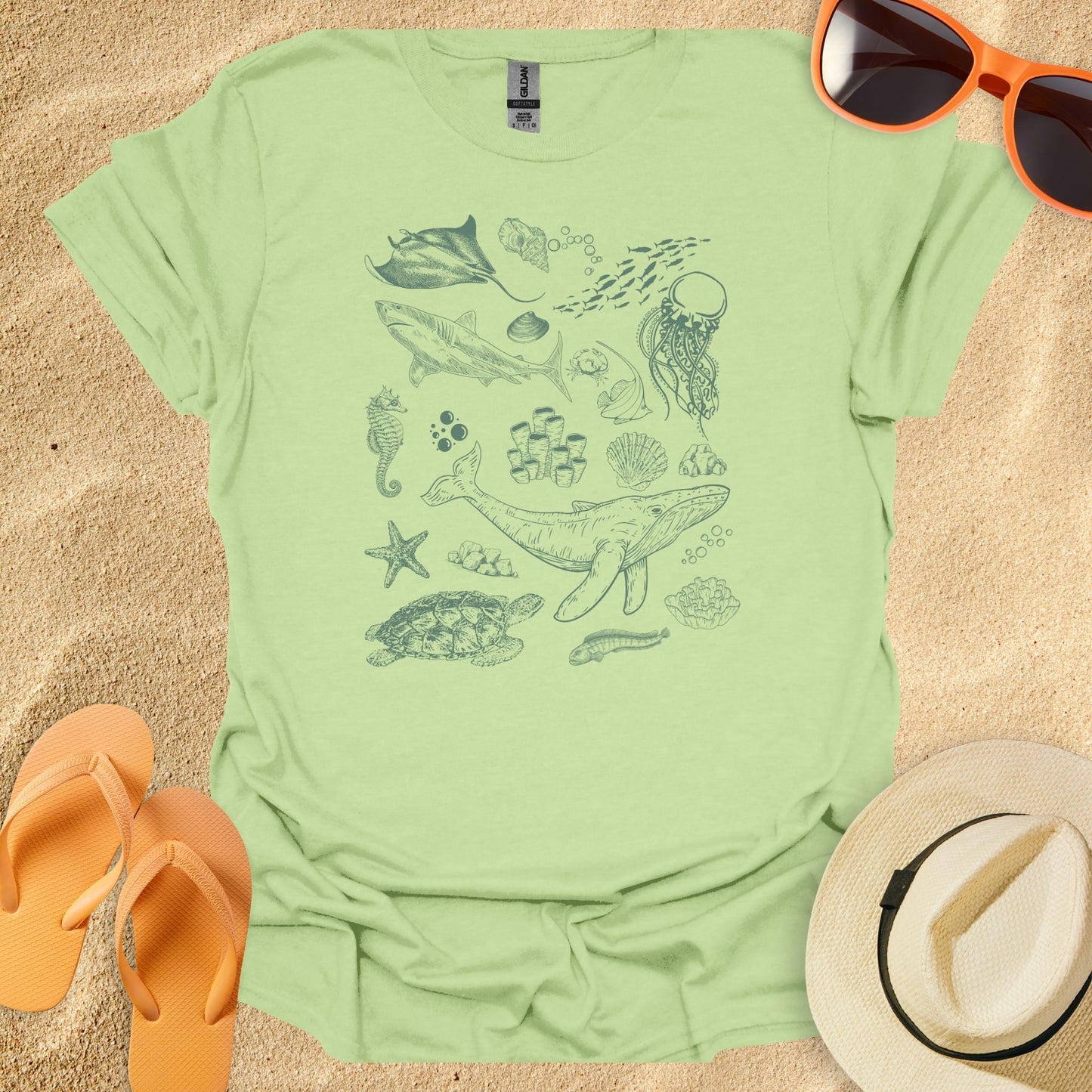 Ocean Life